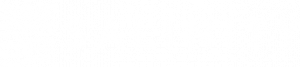 Salinity white logo